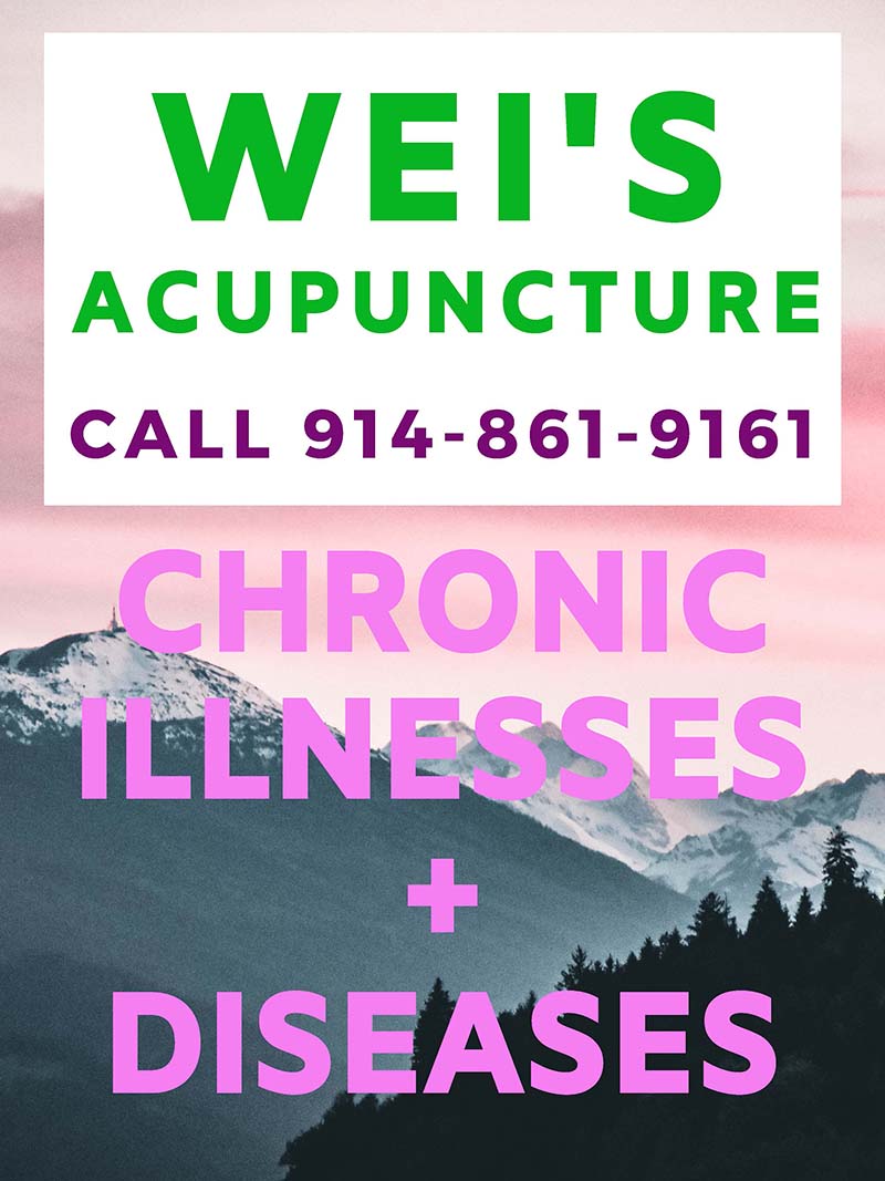 Dive into holistic wellness with FCT Family Acupuncture in Mt. Kisco.